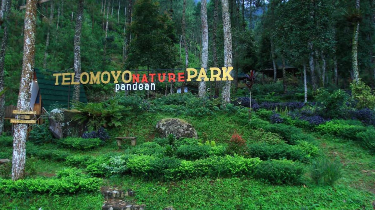 Telomoyo Nature Park: Menjelajahi Keindahan Alam di Lereng Gunung Merapi